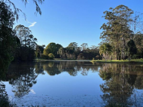 Harmonic Haven, Witta